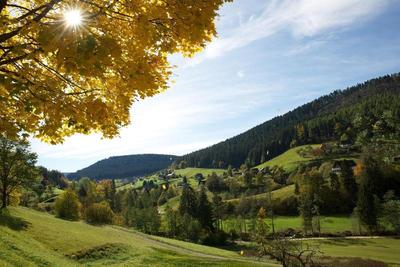 Traube Tonbach
