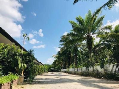 Golden Palm Resort by ZUZU
