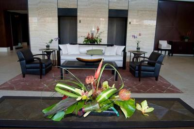 Jet Luxury @ The Trump Waikiki