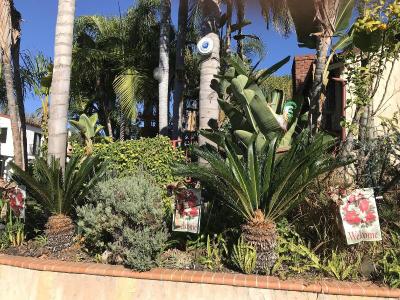 Always Inn San Clemente Bed & Breakfast