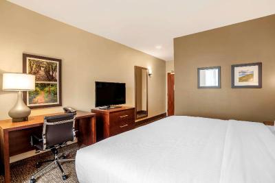 Comfort Inn Suites Winchester