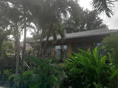 Guesthouse Liam's Suan Dok Mai