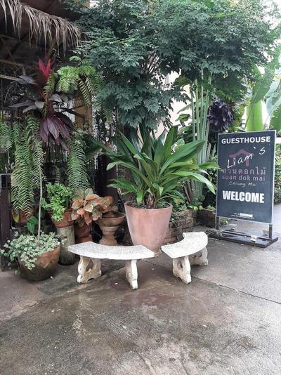 Guesthouse Liam's Suan Dok Mai