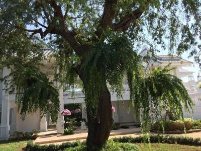 Nirvanan House