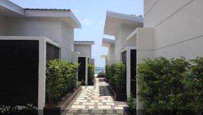 Limelight Village