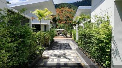 Limelight Village