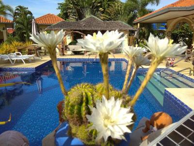 Stella Resort