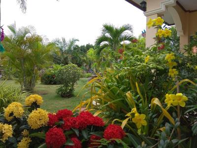 Stella Resort