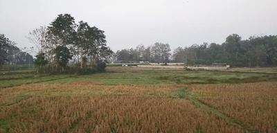 Phu Resort