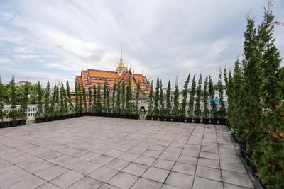 Baan2459