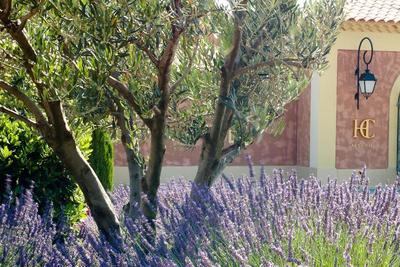 Hôtel et Spa du Castellet
