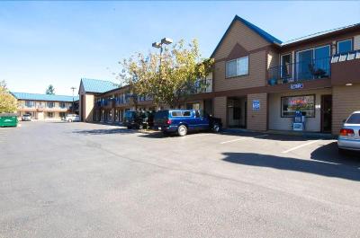Tulip Inn