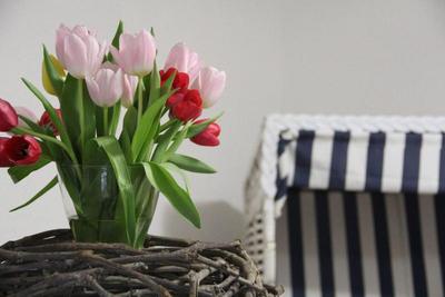 Pension Frisia