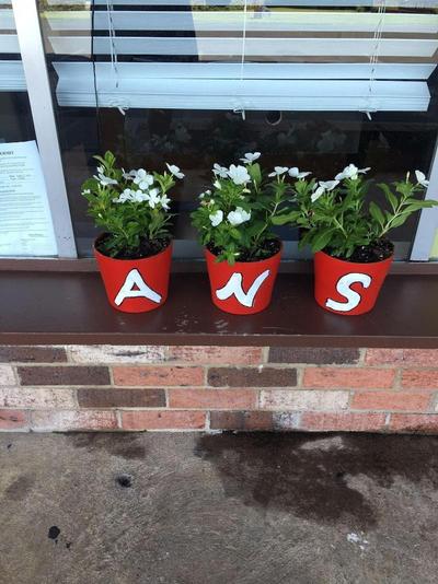 ANS Inn & Suites