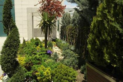 Cp Ankara Hotel