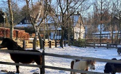 Hotel Gut Moschenhof