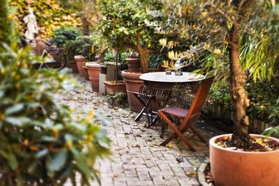 Garden Boutique Hotel Berlin-Mitte