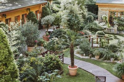 Garden Boutique Hotel Berlin-Mitte