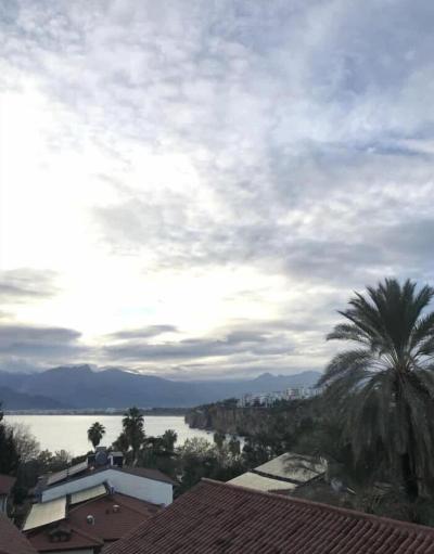 Villa Tulipan