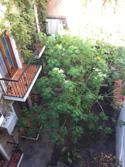 Asterina Hotel