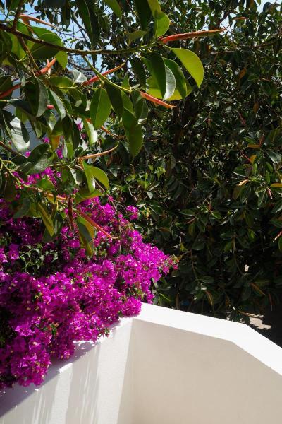 Oya Boutique Hotel & Suites