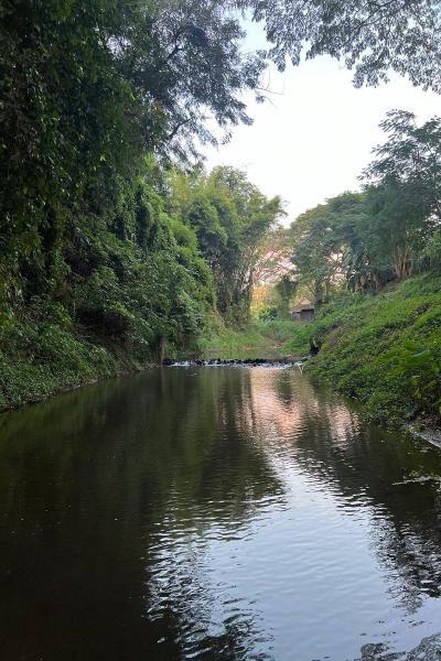 Papai Country Lodge SHA by ZUZU