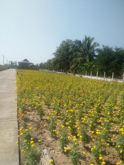Huanmaisakngam Resort