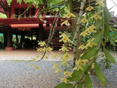 Big House Resort