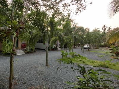 Big House Resort