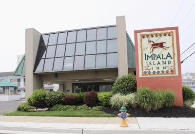 Impala Island Inn