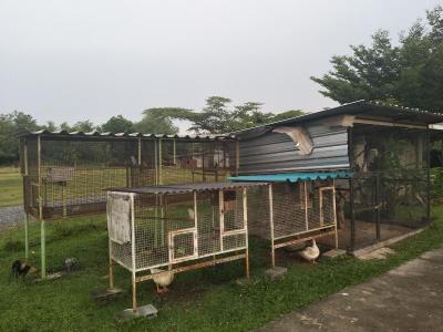 Madoony Resort