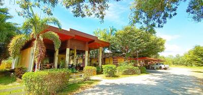 Kuapa Resort