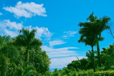 Sea View Resort