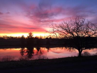 The B & B at Queenslake