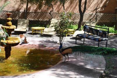 Ecolodge - La Palmeraie