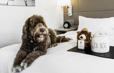 Ac Hotel By Marriott Beverly Hills