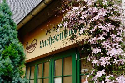 Hotel Forsthaus Luchsenburg