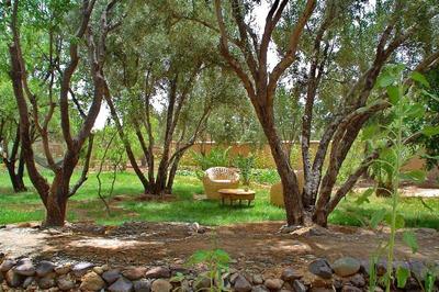 Les Jardins De Skoura