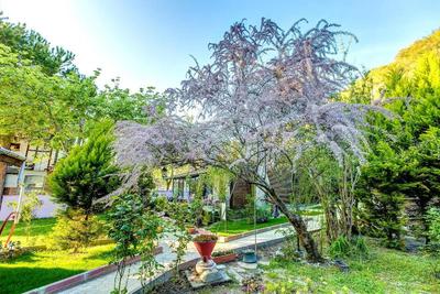 Ağva Park Mandalin Hotel - Adult Only