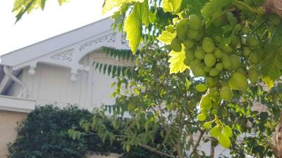 La Halte Montaigne