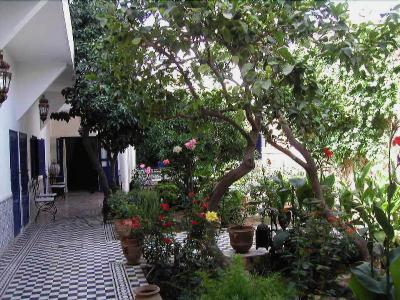 Riad M'haïta