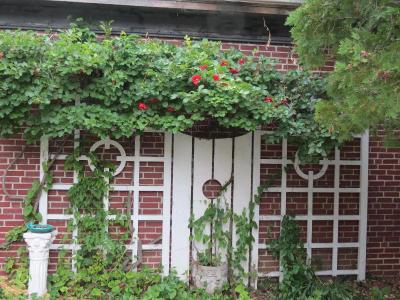 The Silver Fountain Inn