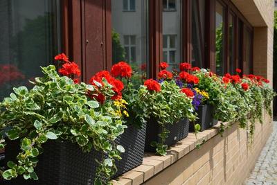 Hotel Aquino Berlin
