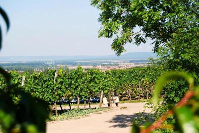 Landhotel & Weingasthof Schwarzer Adler