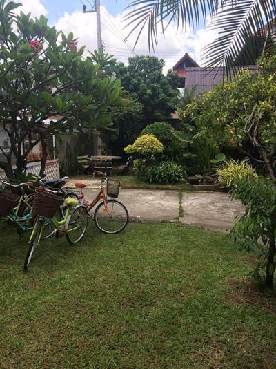 Little Home