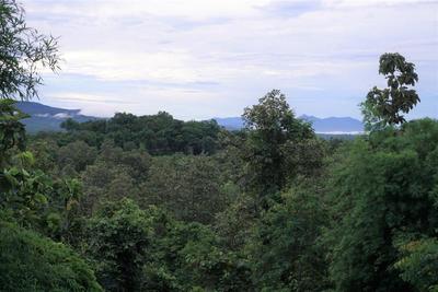 Amaravati Wellness Center Chiangmai