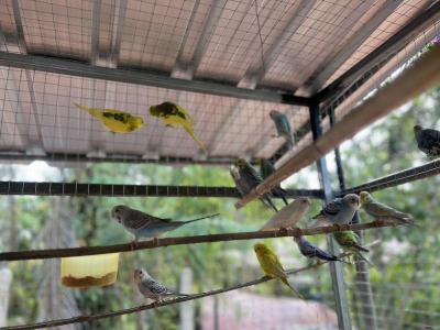 Banana Place Resort