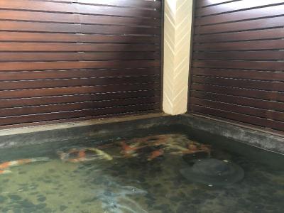 Aiims Tales Canal Boutique House