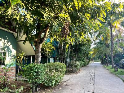Saithong Resort by ZUZU