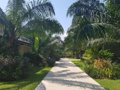 Palm Pran Resort